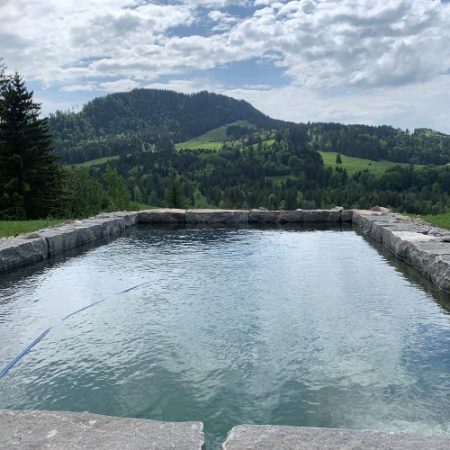 Infinity Naturstein-Pool